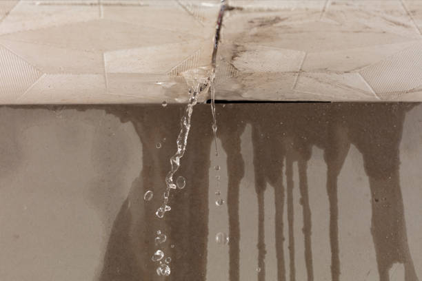 Professional Structural Drying technician working in McLeansville, NC